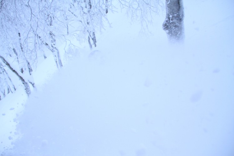 Ibland är det bra att titta upp ur snöröken för att se vart träden är. Henrik Bonnevier får tillfälliga navigatiosnproblem. Foto: Andreas Bengtsson